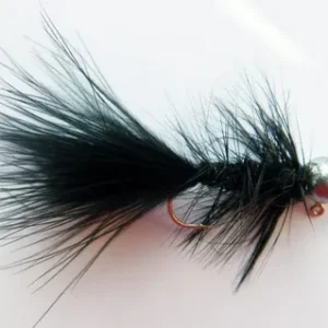 Woolly Bugger